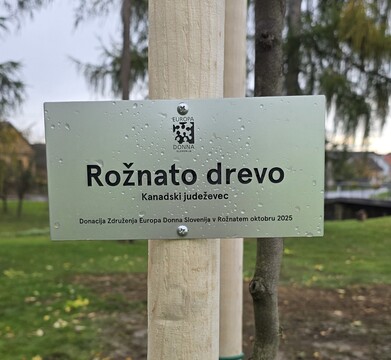 Rožnato drevo