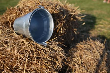 289295269_1179761372811854_2418873866098511606_n